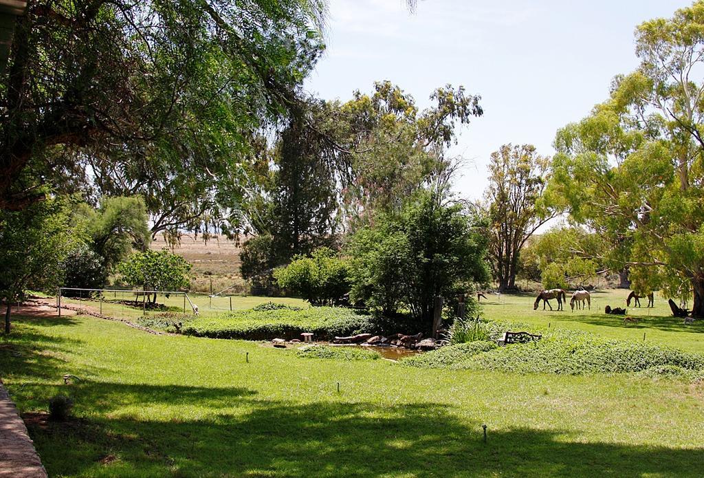 Вілла Garingboom Guest Farm Springfontein Екстер'єр фото