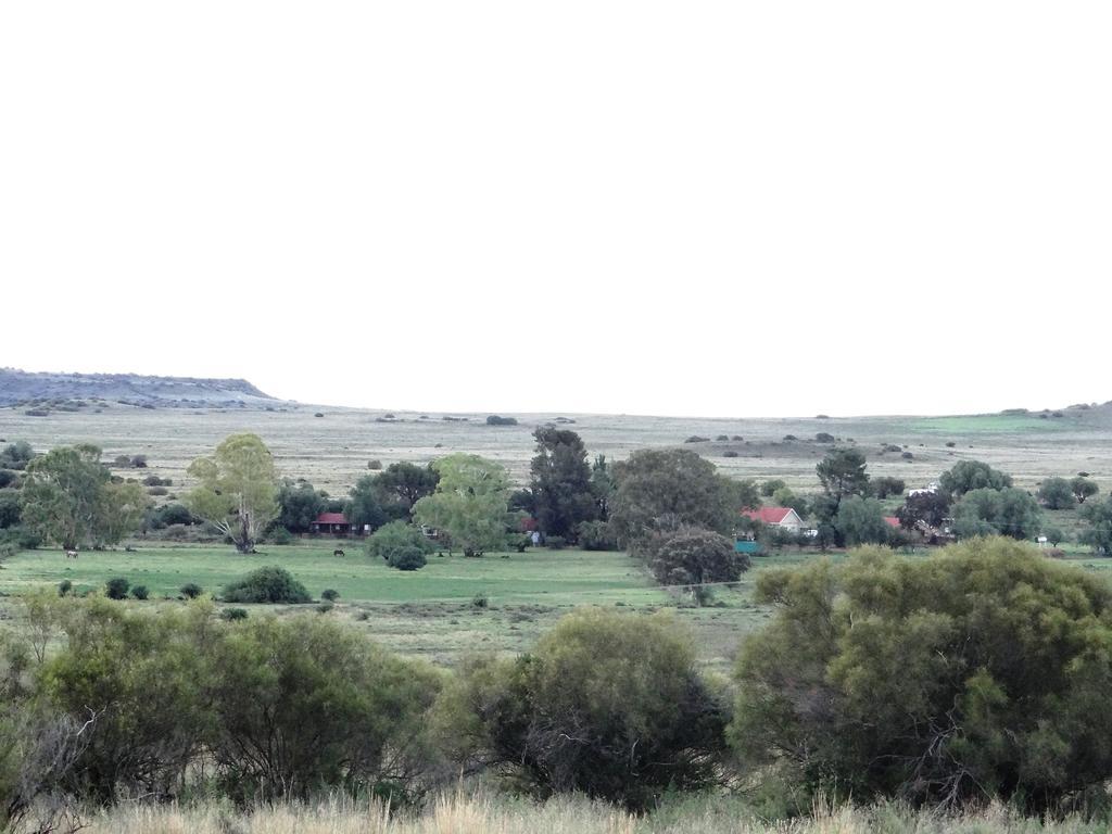 Вілла Garingboom Guest Farm Springfontein Екстер'єр фото